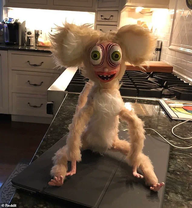 Exclusive Access to a Disturbing Discovery: The Eerie Attic Item That Shook the Internet