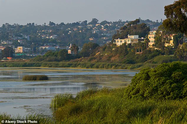 Late-Breaking: California Retail Magnate Fined $1.4M for Blocking Public Beach Access with Private Gate