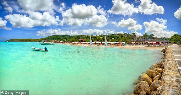 Runaway Beach Attack: 66-Year-Old Tourist Brutally Assaulted During Horseback Ride in Antigua