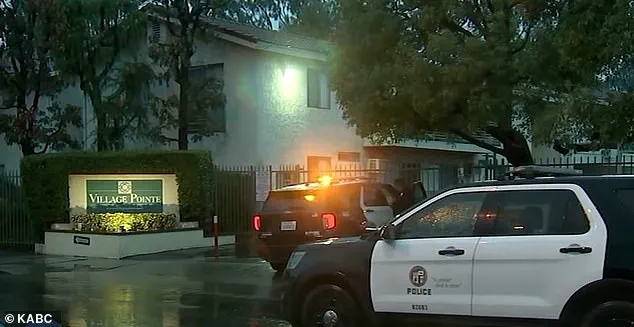 Controversy Over ICE Officer's Shooting Sparks Debate on Police Accountability and Public Safety