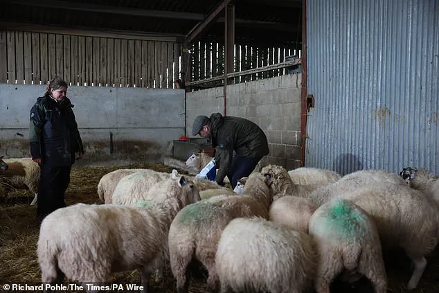 Prince William's Farm Visit Highlights Efforts to Address Rural Crisis in Herefordshire