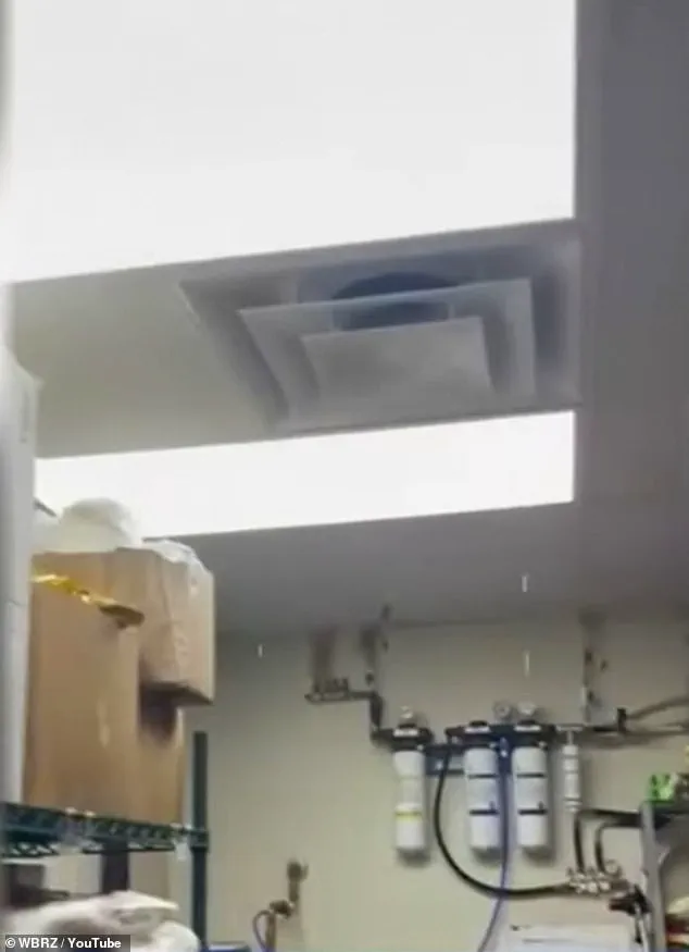 Wendy's in Ascension Parish: Workers Describe Black Mold and Unsafe Conditions as Public Health Crisis Grows, Corporate Oversight Fails to Act