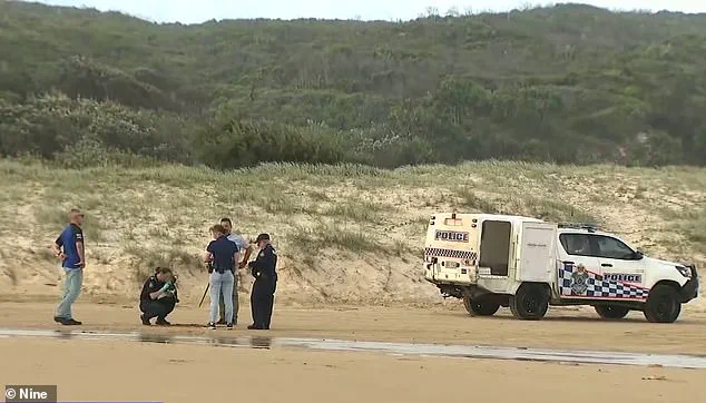 Tragedy of Canadian Tourist's Death Sparks National Debate on Wildlife Conservation and Policy Adequacy, as Authorities Confirm Dingoes 'Touched and Interfered' with Remains