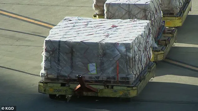 Tragic SFO Accident Sparks Workplace Safety Concerns After Young Worker's Death