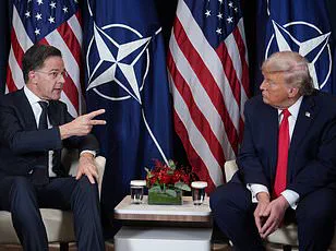 Diplomatic Tensions Escalate: Trump's WEF Remarks Prompt French 'Fake News' Meme Backlash