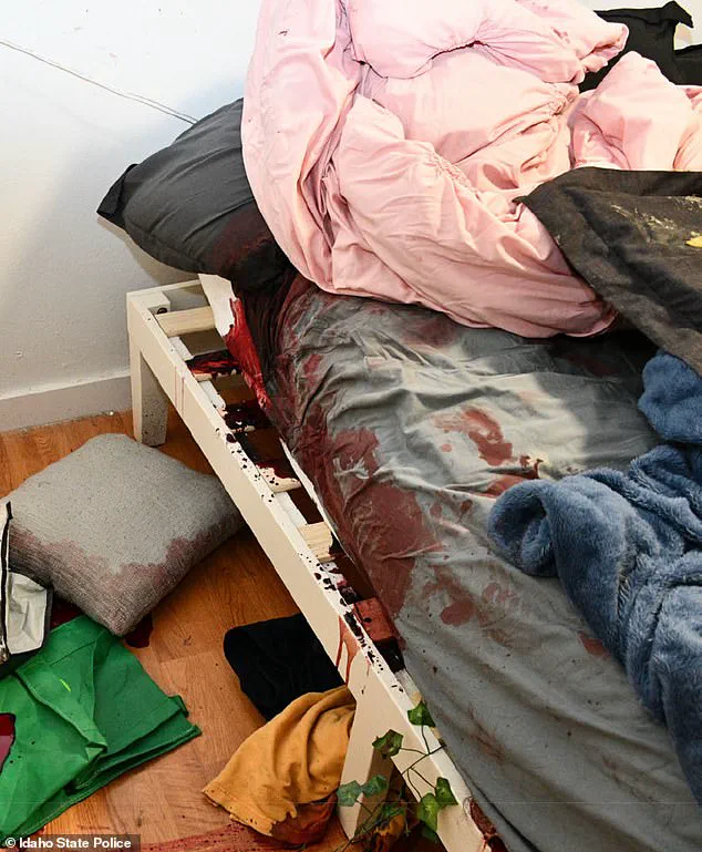 Idaho Releases Crime Scene Photos from 2022 Moscow Murder Case