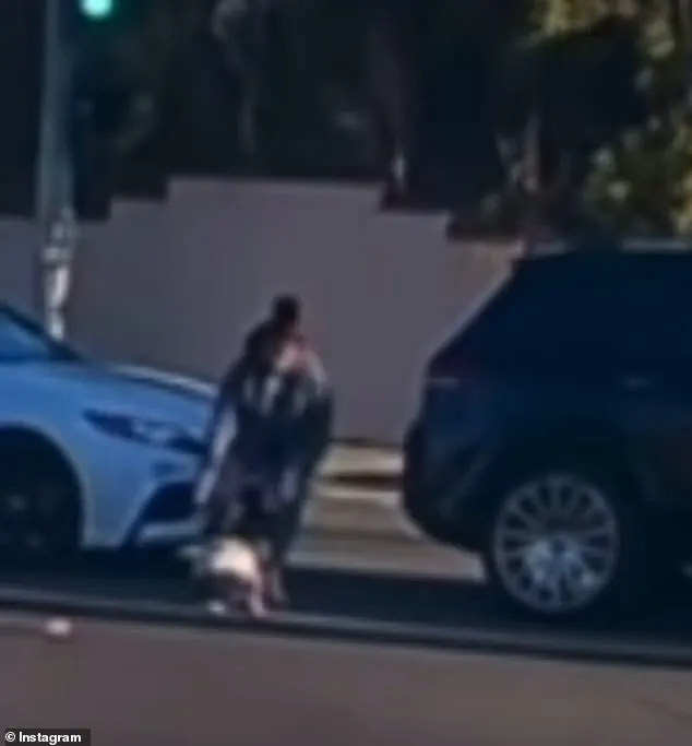 Viral Video Sparks Debate on Vehicle Safety Regulations After Toddler Falls from Moving Car