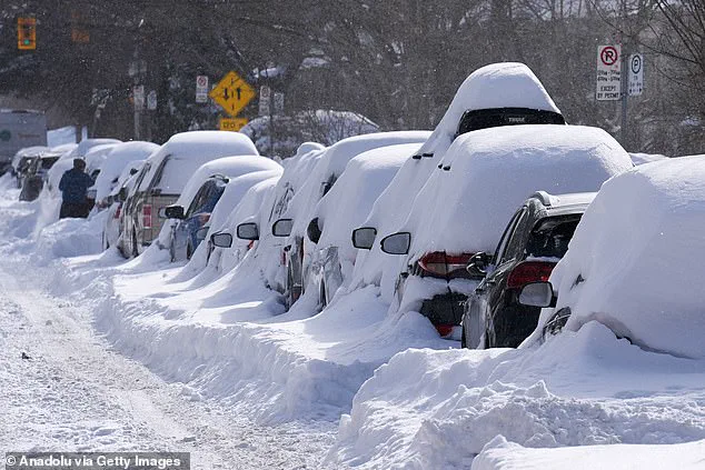 Toronto Mayor Olivia Chow's Misstatement Sparks Viral Reaction Amid Historic Snowstorm