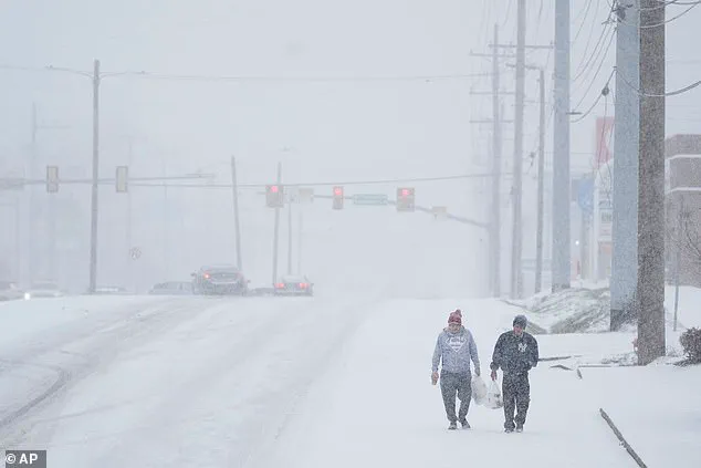 Winter Storm Fern Brings Desperate Survival Efforts to Nashville Family Amid Widespread Power Outages
