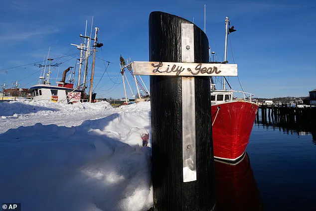 Tragedy at Sea: Victims of Sinking Fishing Boat *Lily Jean* Identified, Questions Remain