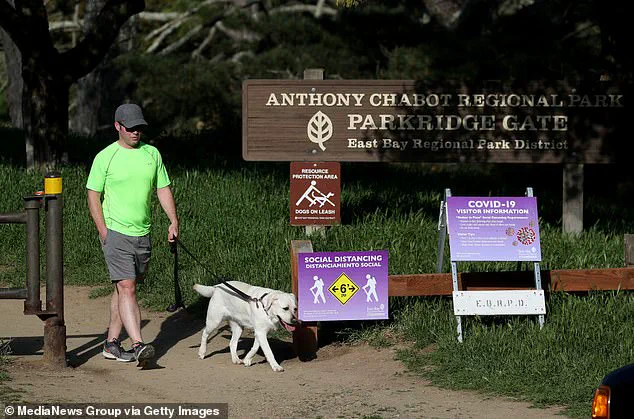 Four Deaths in California Linked to Lethal Death Cap Mushroom Poisonings, Spawning Urgent Health Warnings