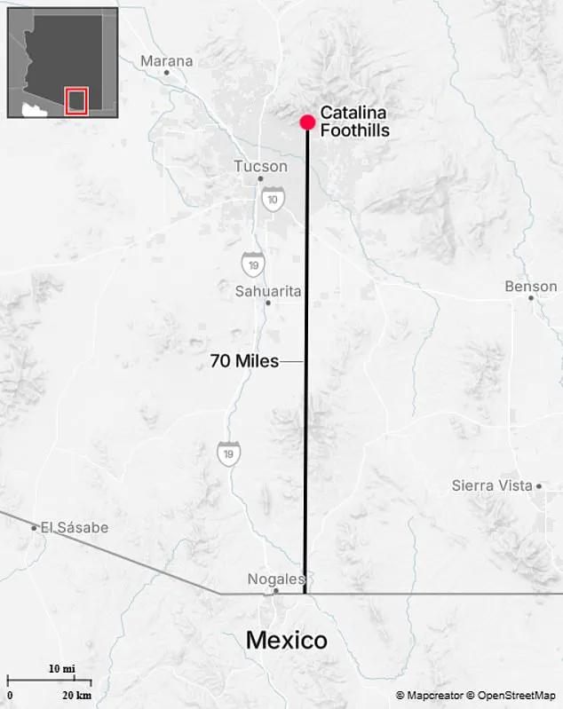 Search for Missing Nancy Guthrie Confronts Rugged Terrain and Unpredictable Weather in Catalina Foothills