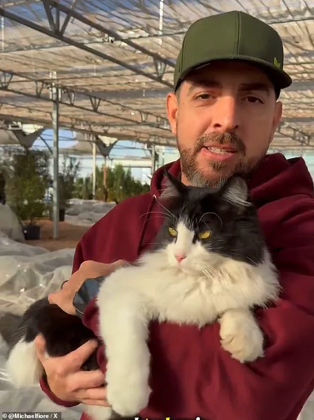 From Garden Center to Internet Sensation: How Sylvester's Viral Moment Made Him a Feline Star