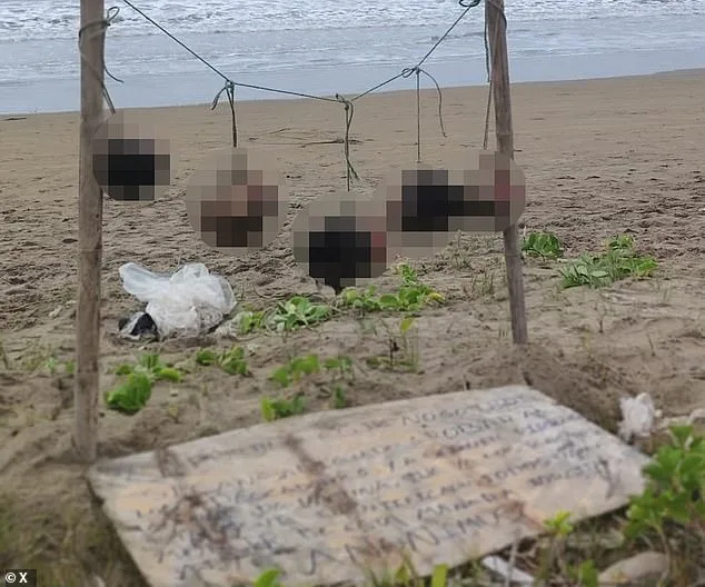 Severed Heads and Warning Signs Point to Escalating Gang Violence in Ecuador