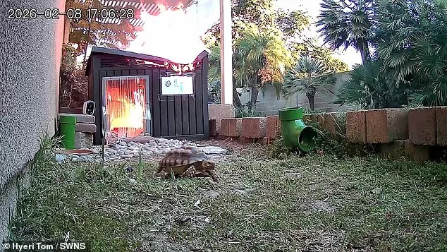 Hidden Hazards: The Tortoise Fire and the Sealed Safety Reports