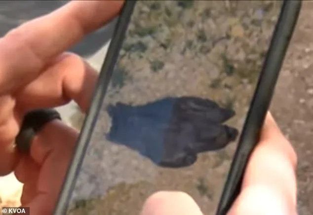 New Footage Reveals Suspect's Prior Visit to Nancy Guthrie's Home