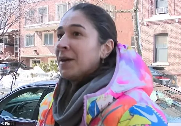 Queens Family Alleges Neighbor Shoveled Snow onto SUV During Blizzard, Footage Goes Viral
