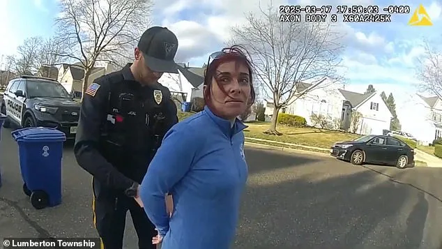 Mayor Gina LaPlaca's DUI Arrest: A Shattered Career and a Toddler's Silent Witness