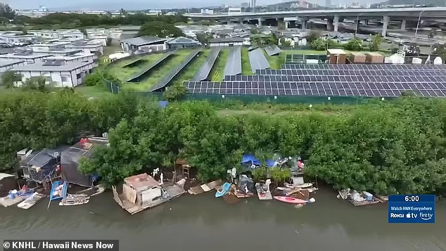 Hawaii officials race to clear massive homeless encampment in Kalihi before hurricane season.