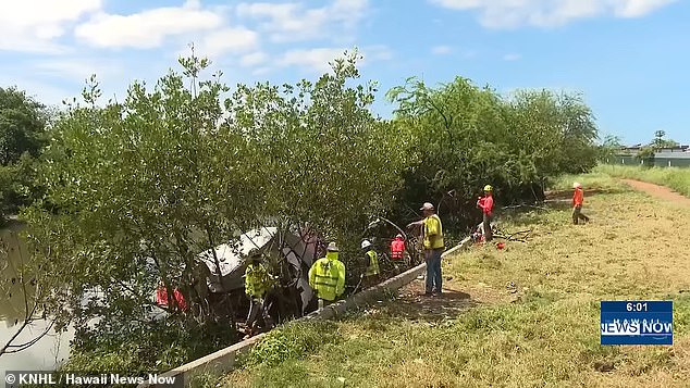 Hawaii officials race to clear massive homeless encampment in Kalihi before hurricane season.