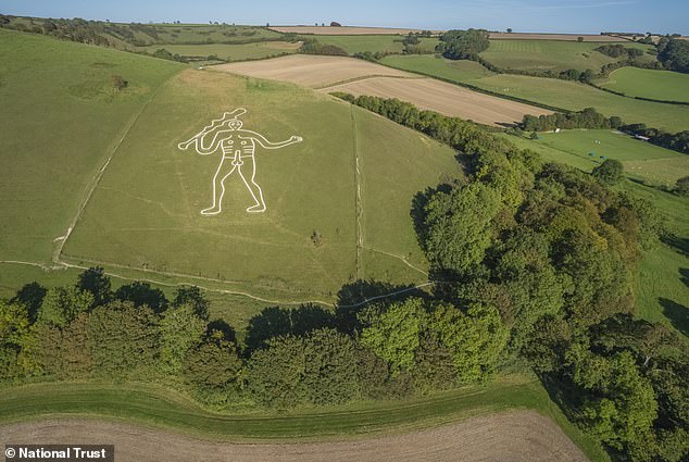 Cerine Abbas Giant restoration begins with 17 tonnes of fresh chalk.
