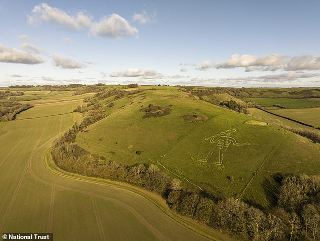 Cerine Abbas Giant restoration begins with 17 tonnes of fresh chalk.