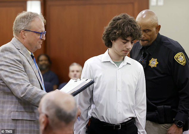 Teen plotting school shooting avoids jail after meeting probation conditions